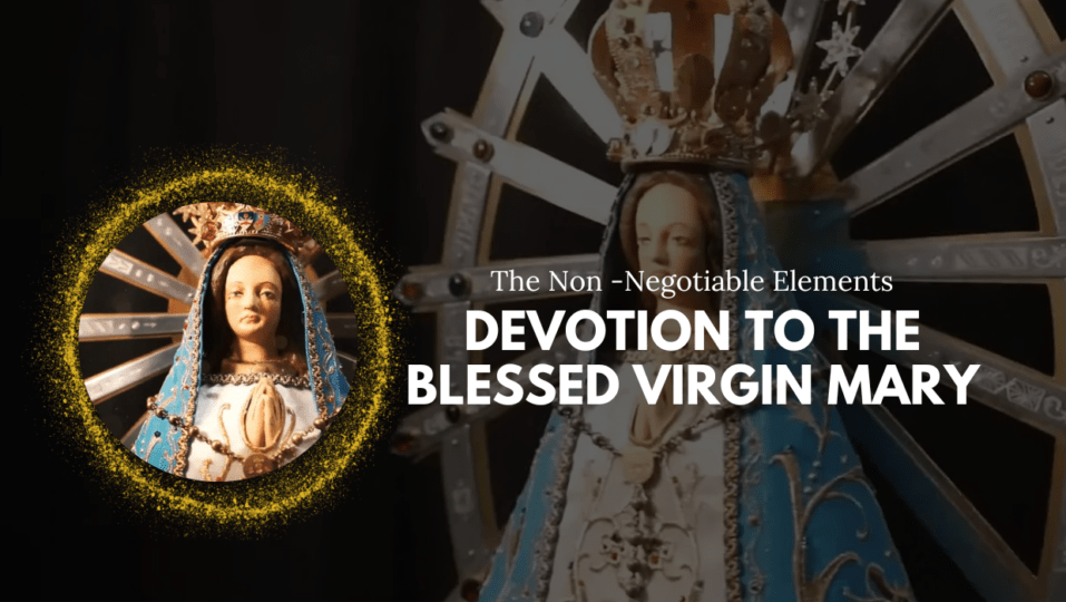 Devotion to the Blessed Virgin Mary – IVE | Our Lady Of Sheshan House ...